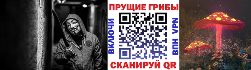 Галлюциногенные грибы мицелий  Купить закладки  Спасск-Рязанский 